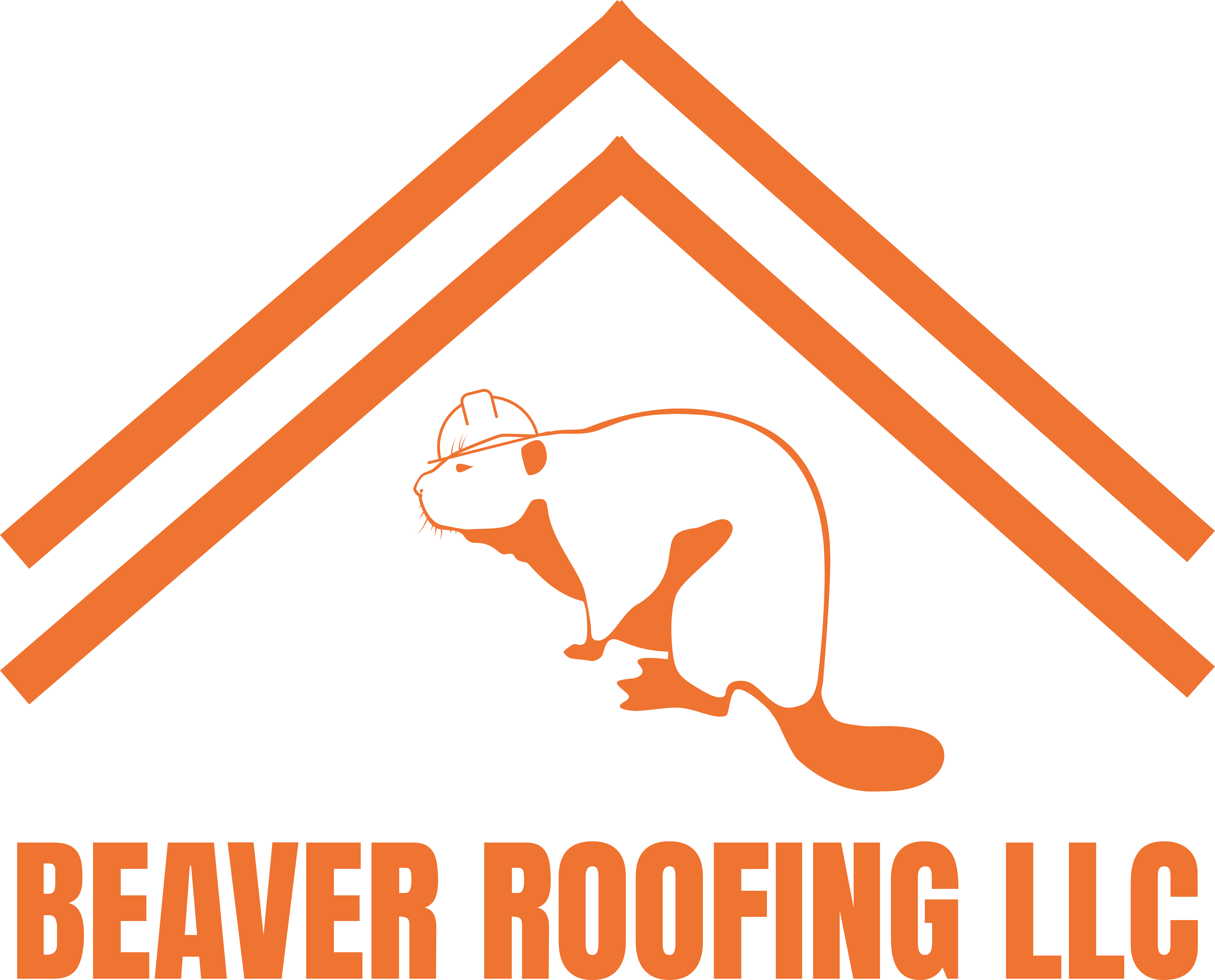 Beaver Roofing