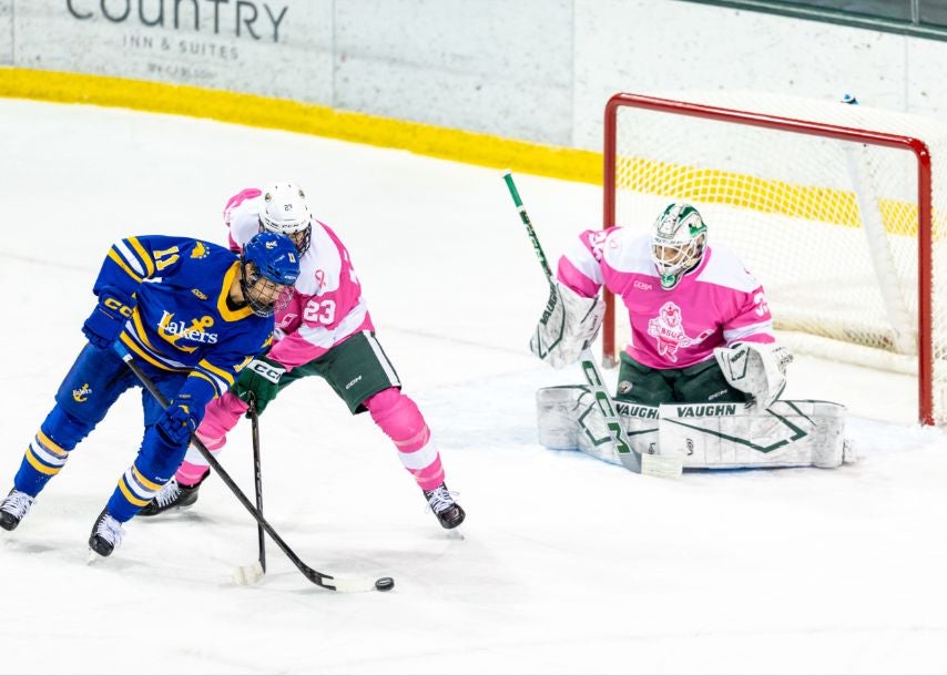 More Info for BSU vs. Lake Superior: Men's Hockey